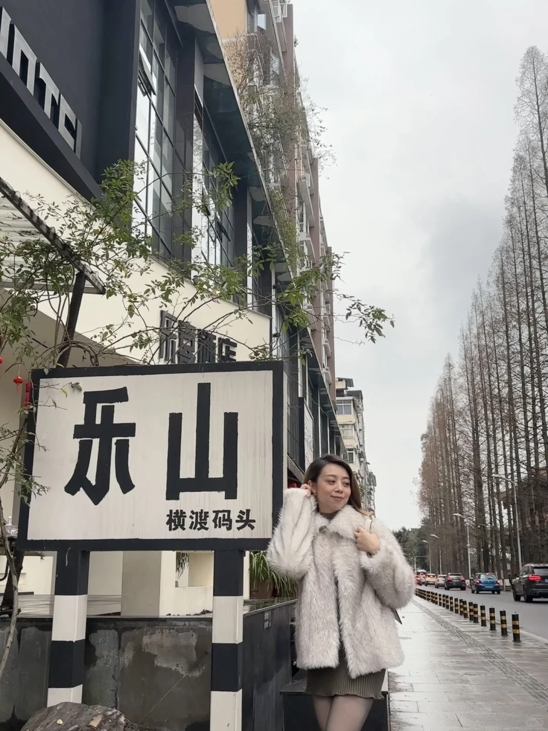 小肥菊游乐山