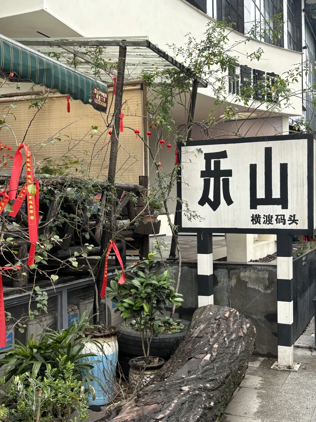 小肥菊游乐山