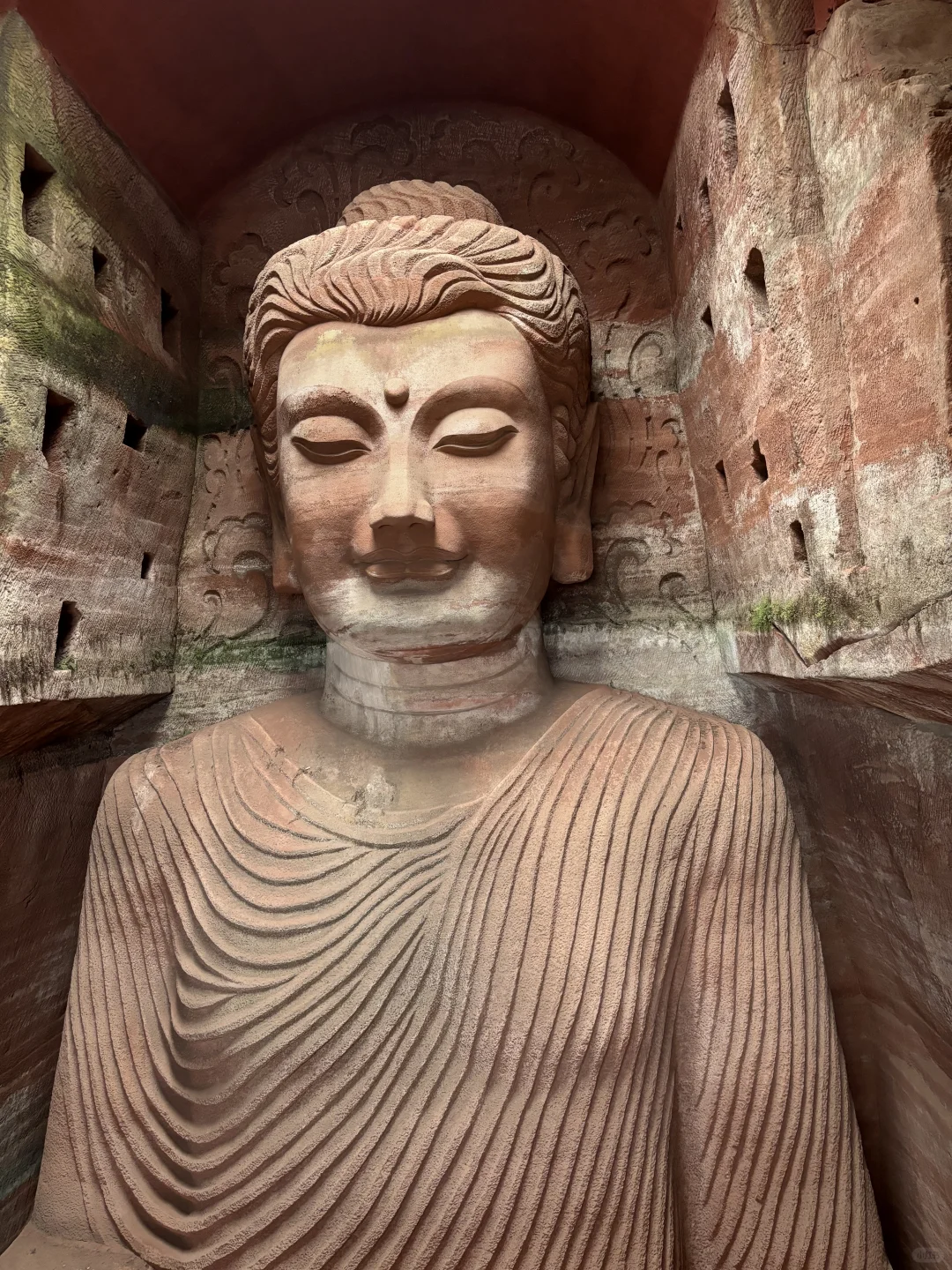 小肥菊游乐山