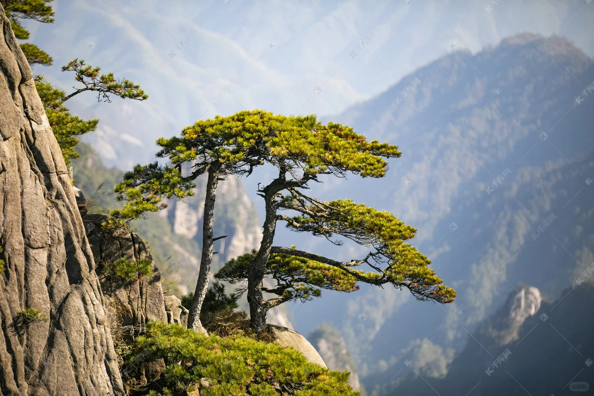 ✨ 中国十大必打卡旅游景点推荐 ✨ （上）