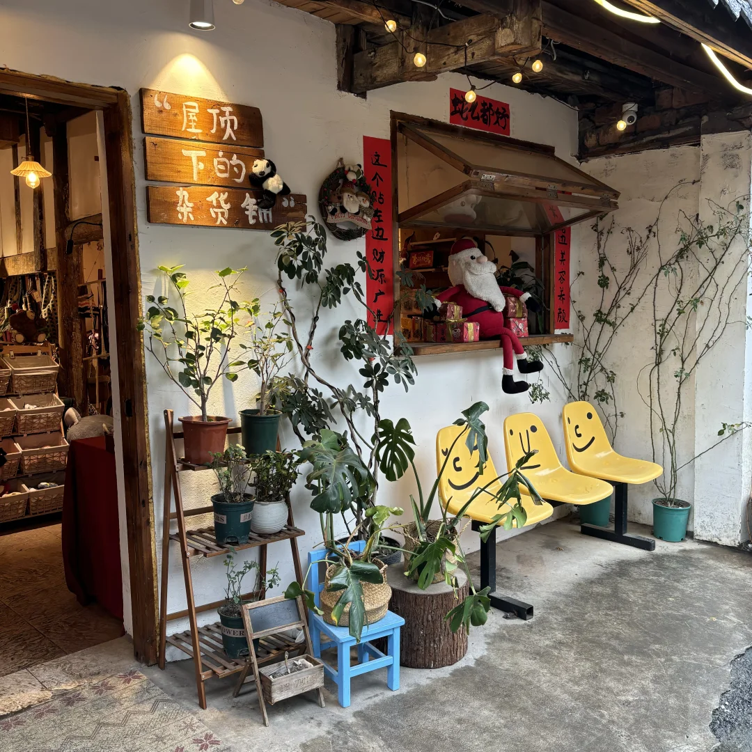 小肥菊游乐山