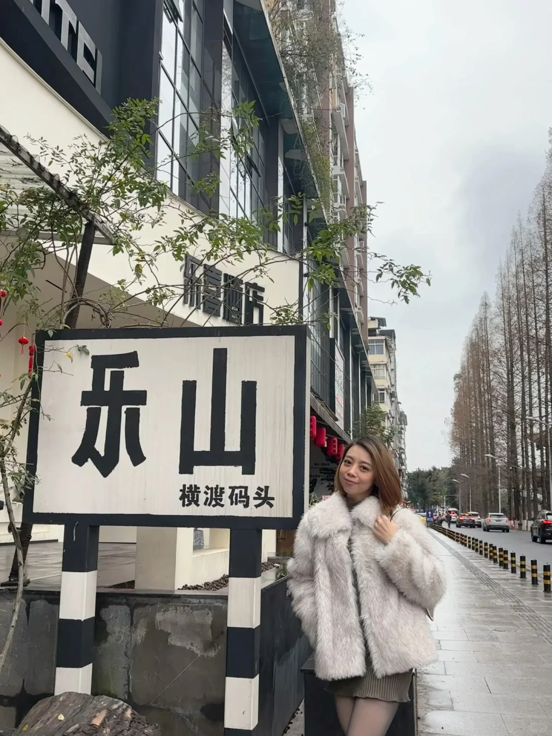 小肥菊游乐山