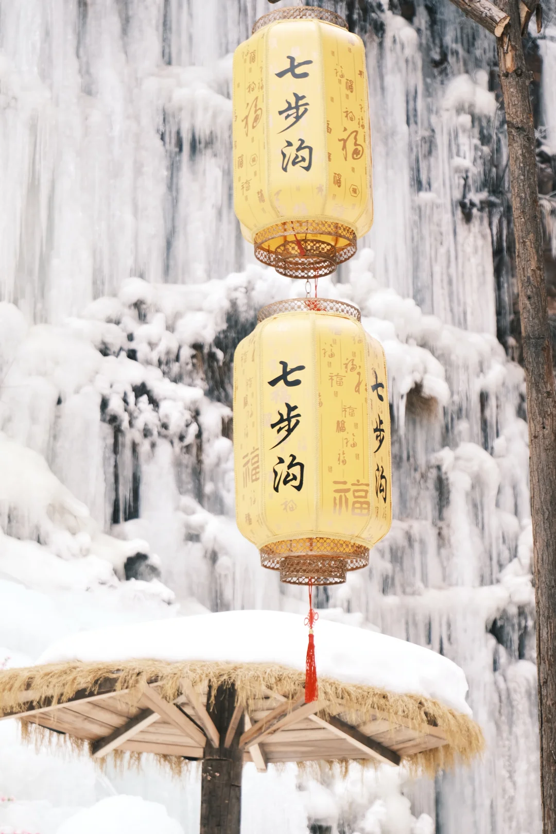 邯郸| 七步沟玫瑰♥️爱心冰挂！梦幻极了🧊