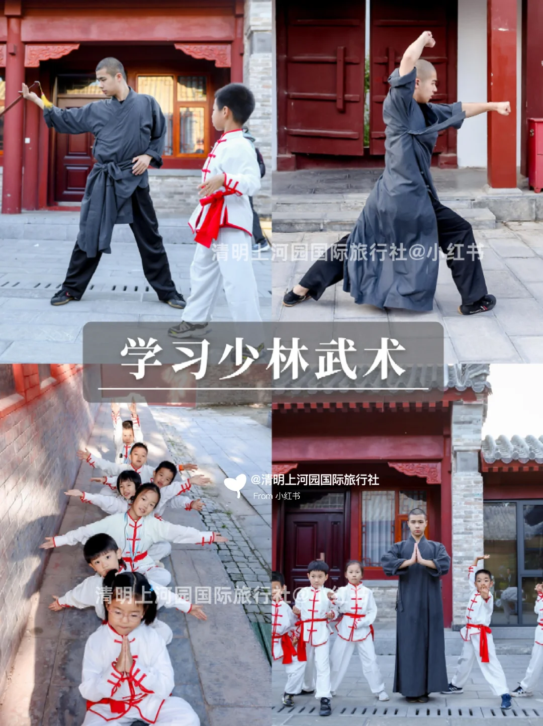 带娃去洛阳听劝😭熬夜总结❗保姆级攻略❗