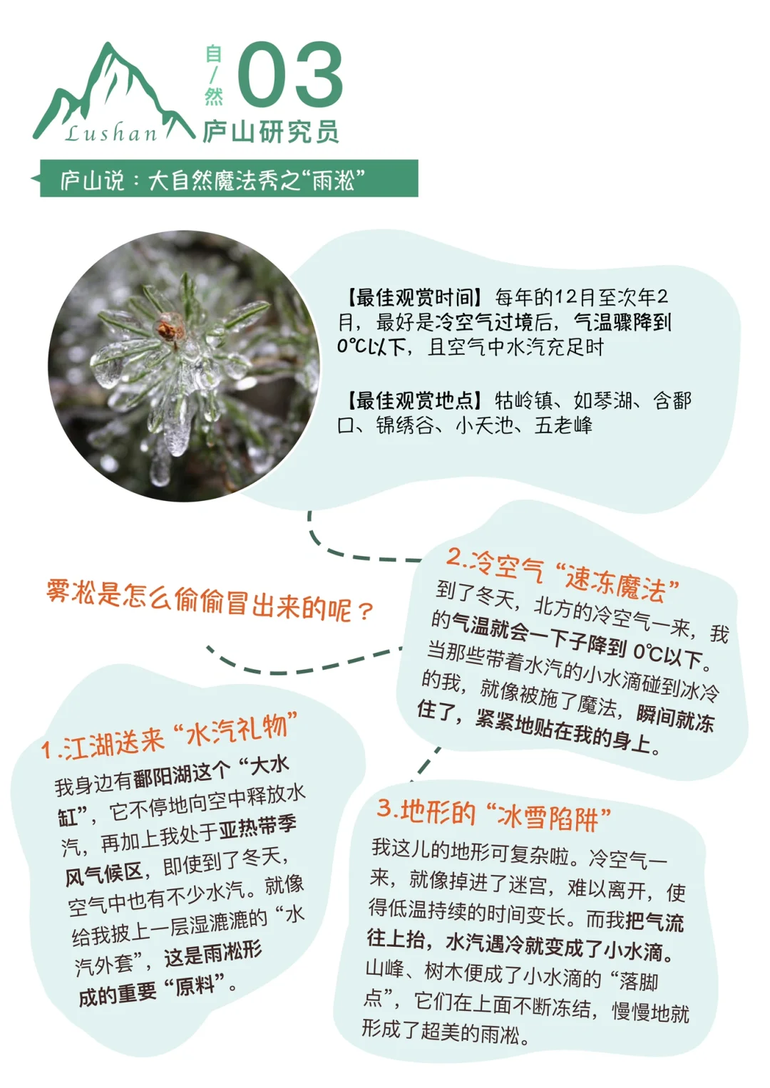 被问爆的庐山亲子游攻略⛰️讲透爬山知识！