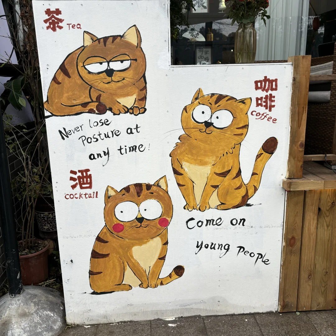 小肥菊游乐山