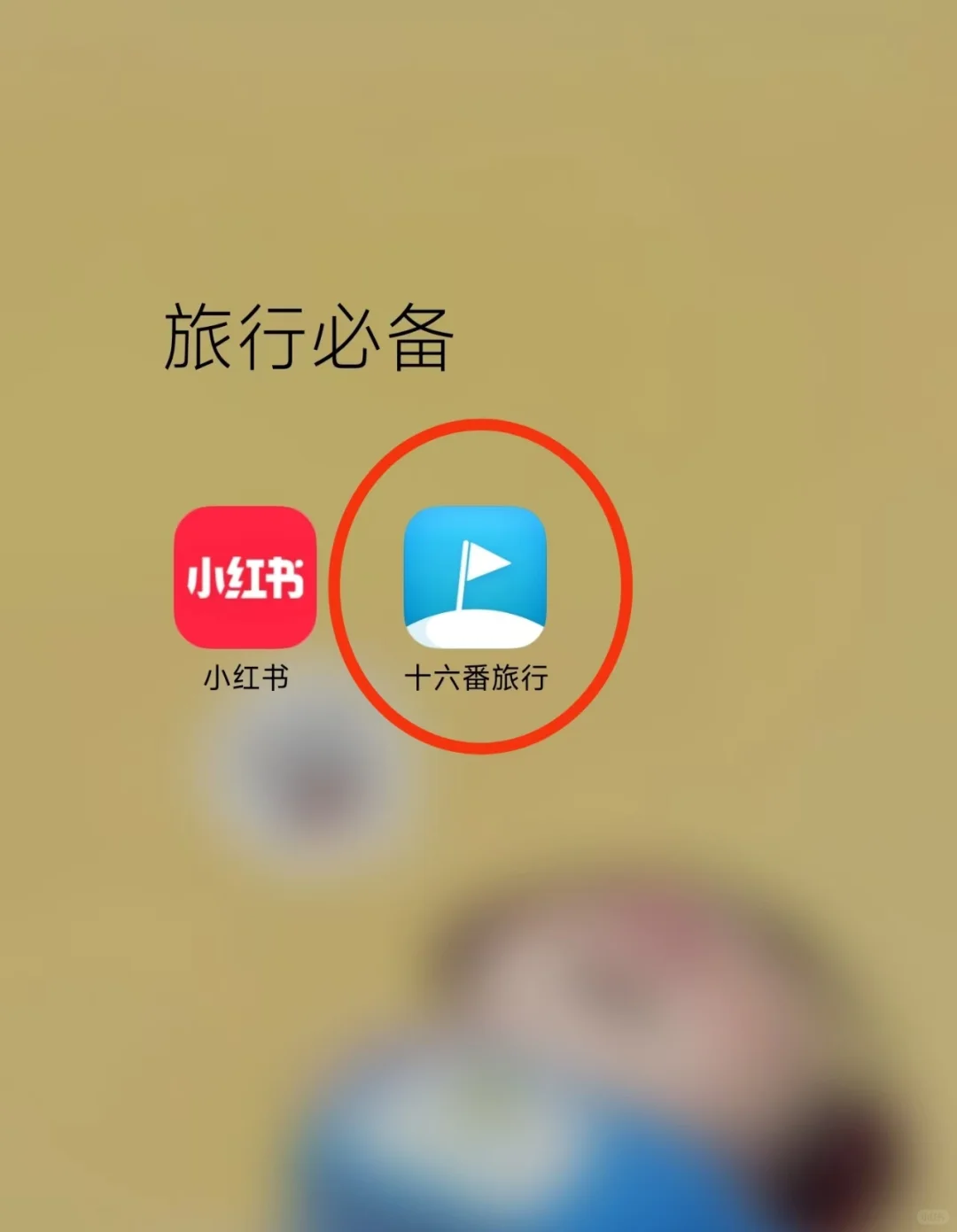去过5次乐山，写给1-3月来乐山玩的姐妹