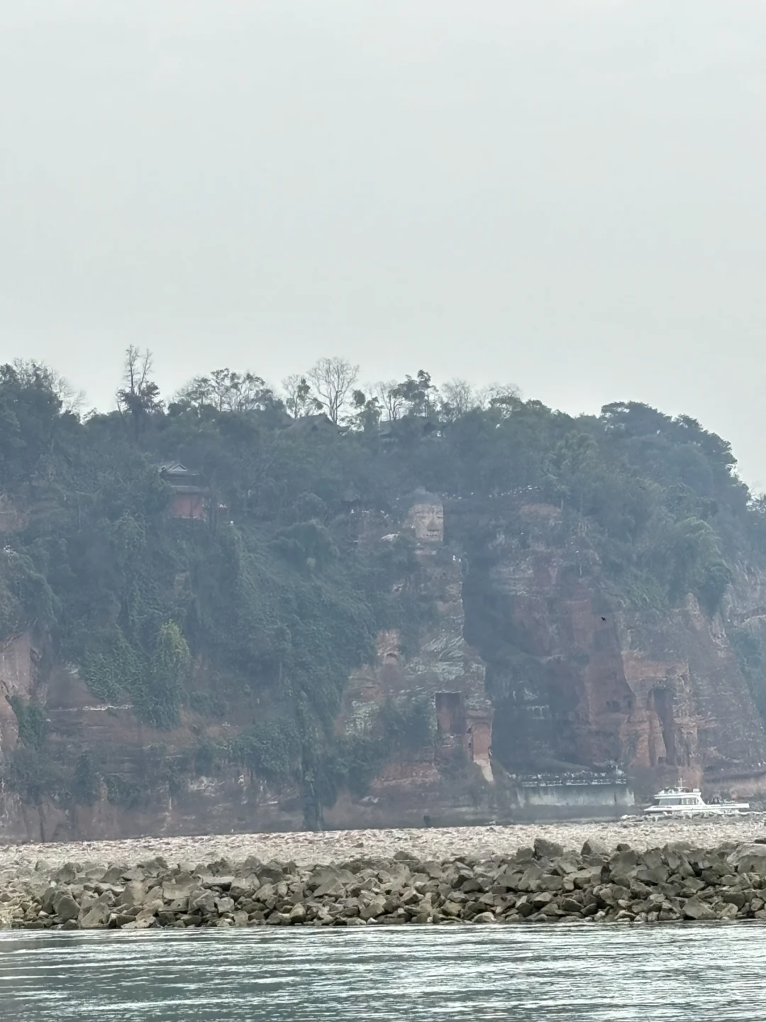 小肥菊游乐山