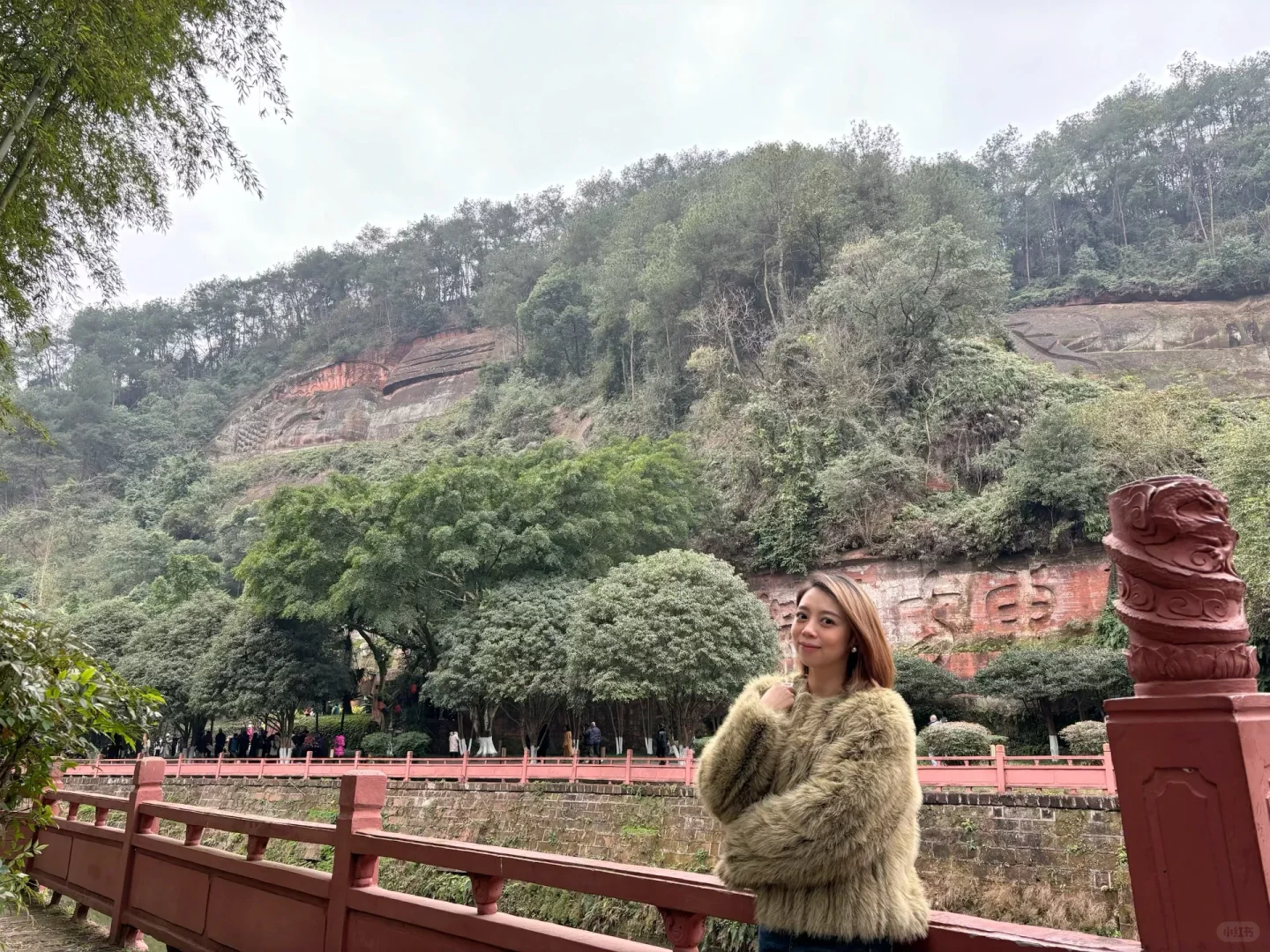 小肥菊游乐山