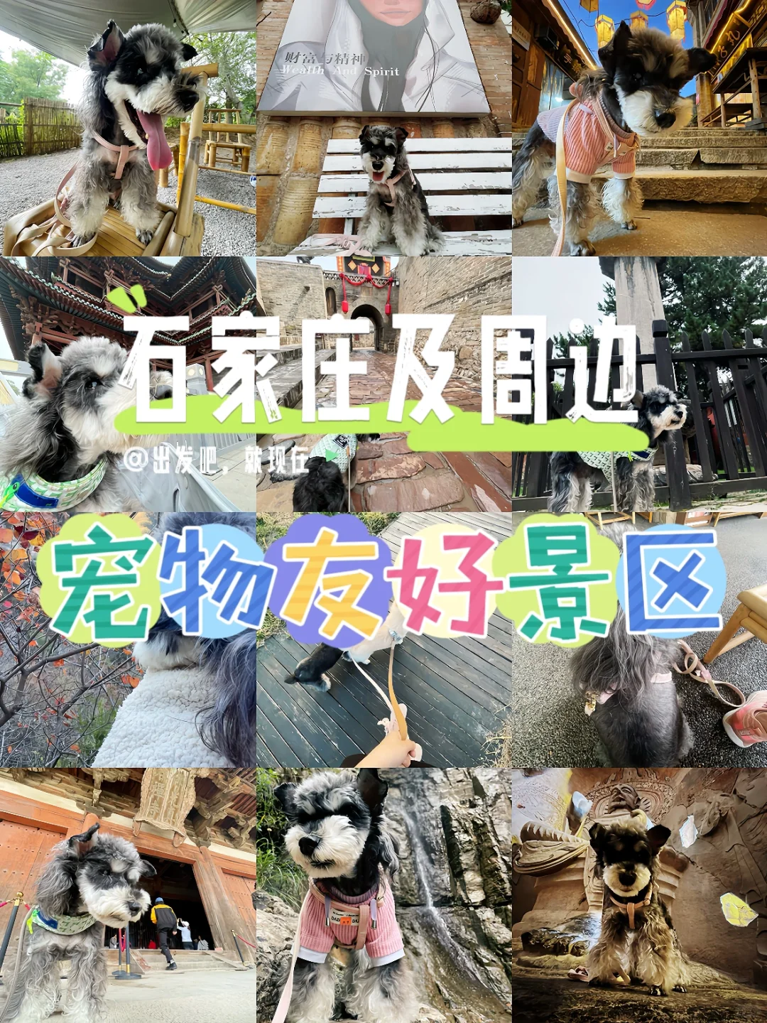 石家庄及周边宠物友好景区（新增龙泉古镇）