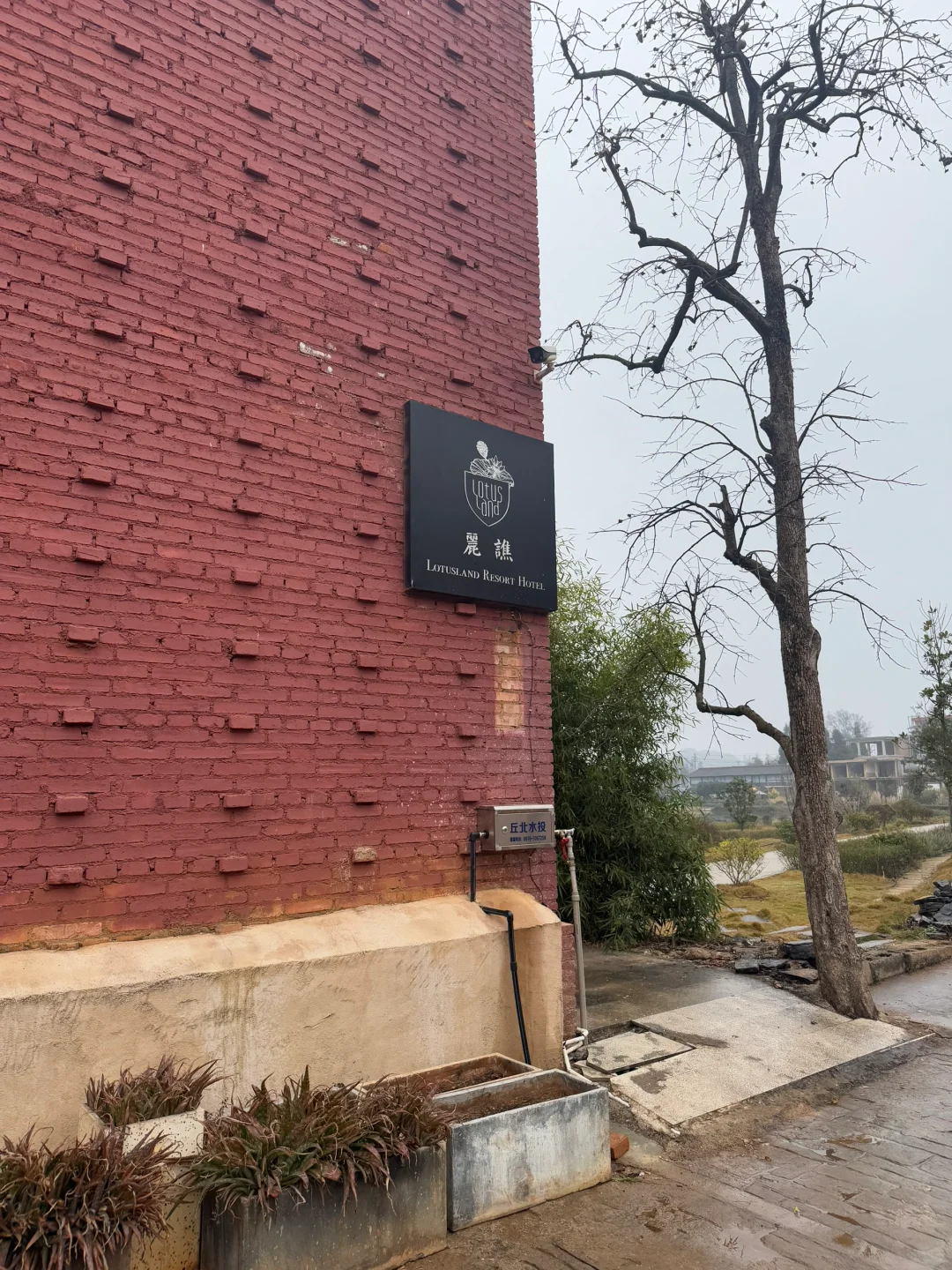 🚗 普者黑景区