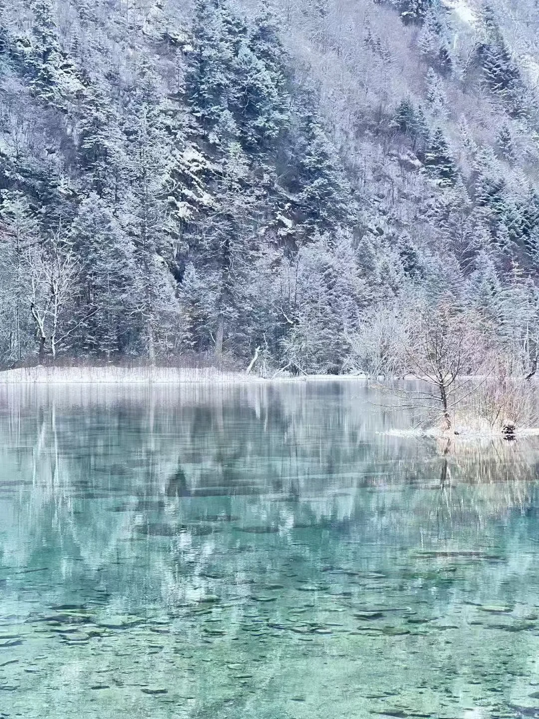 2.10📍重庆-毕棚沟报团已回，劝退不了…