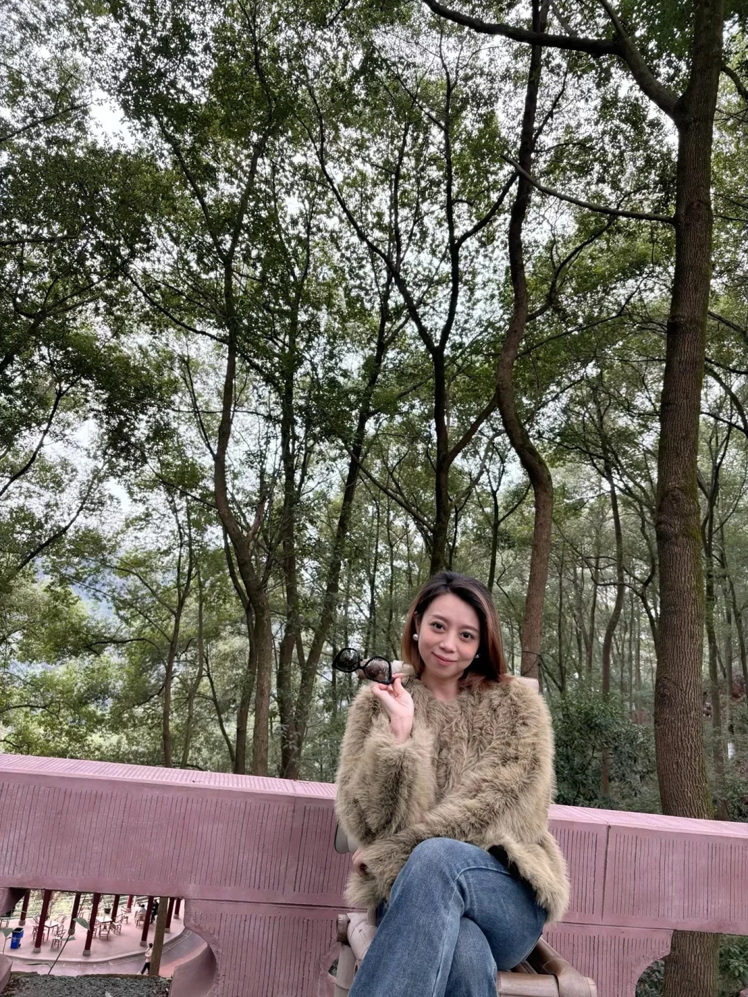 小肥菊游乐山