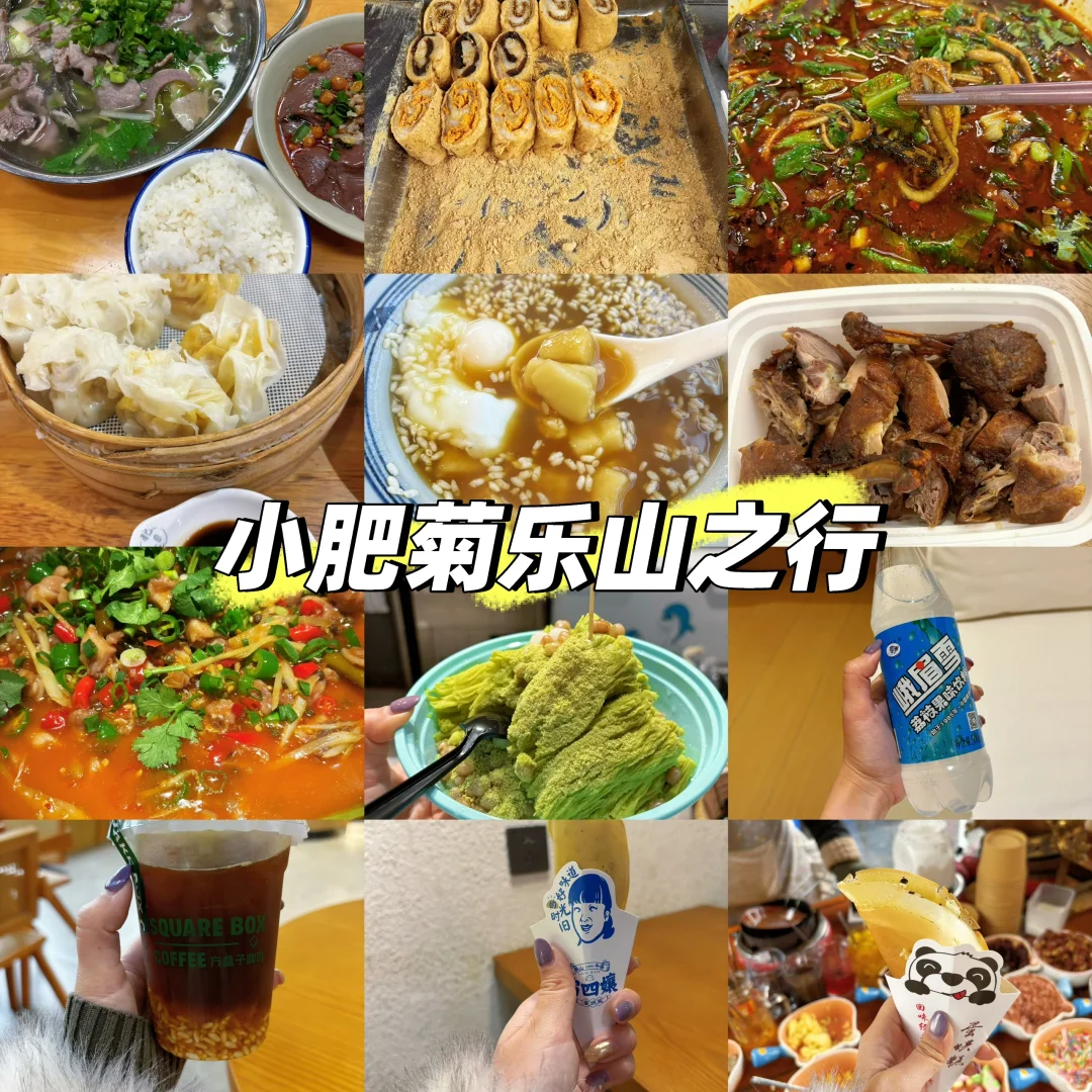 小肥菊游乐山