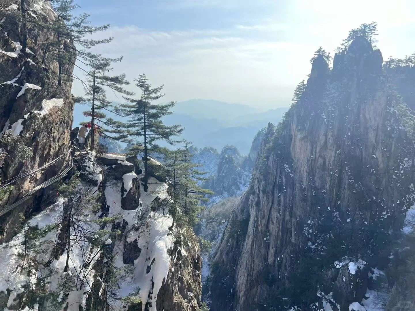 老君山一日游天天发车