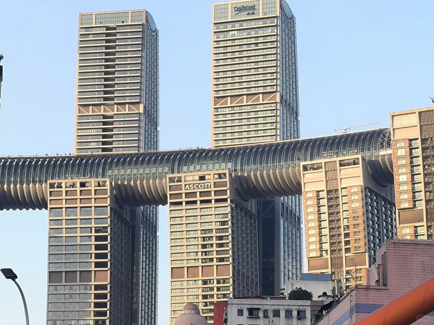 山午的记忆