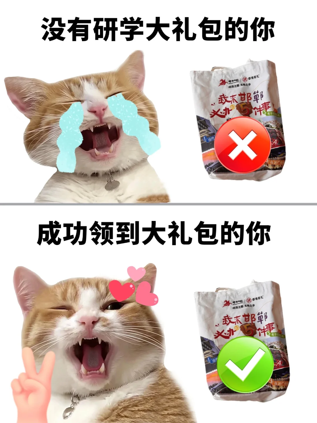 研学大礼包 Q&A
