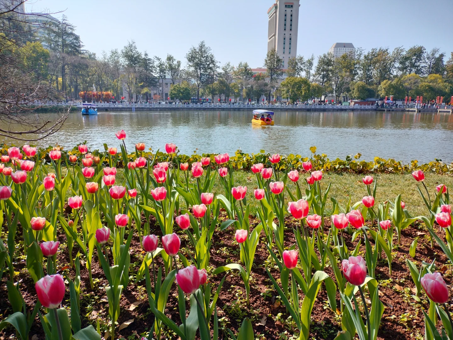 云南昆明