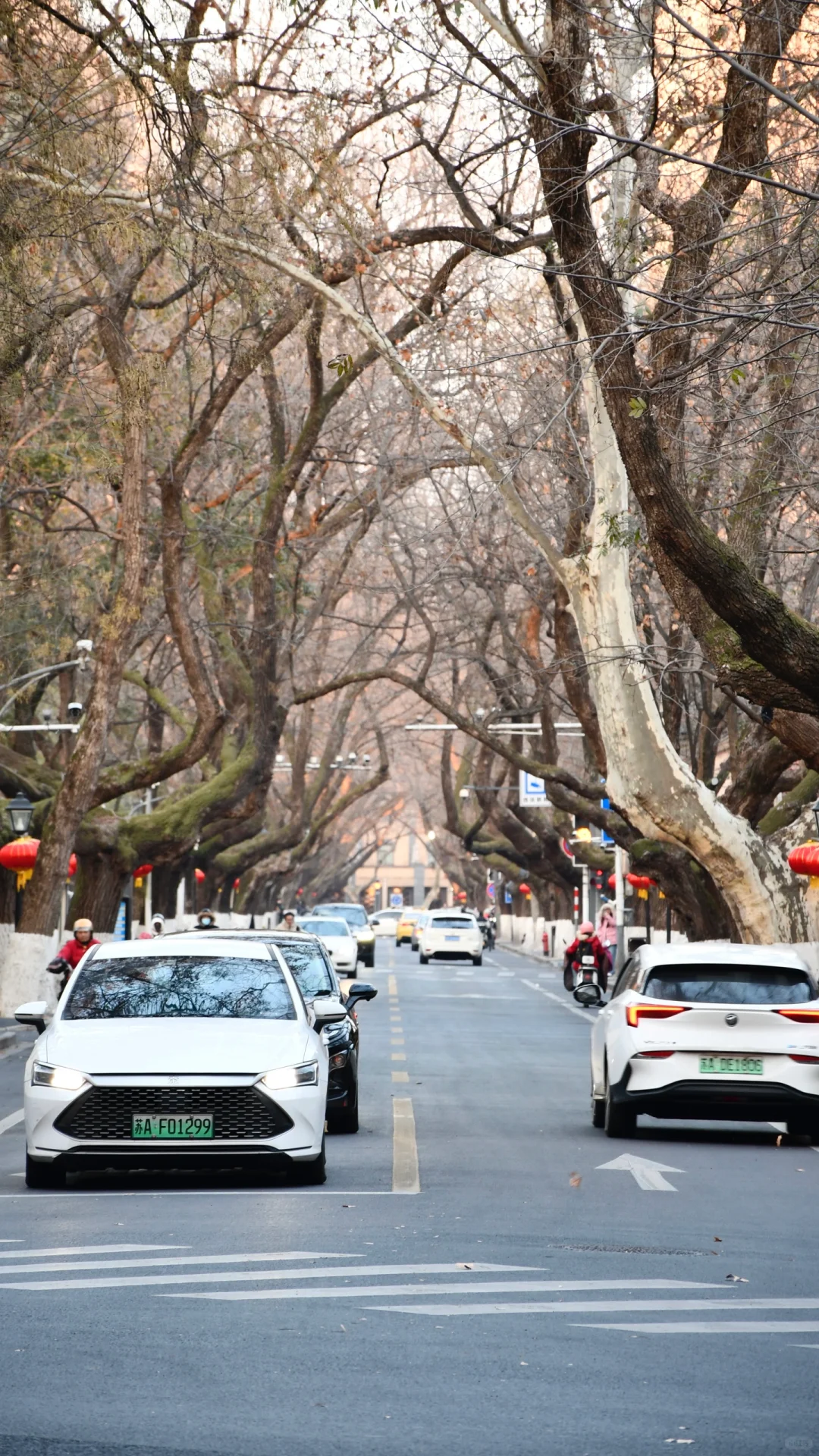 就是金陵城🏮
