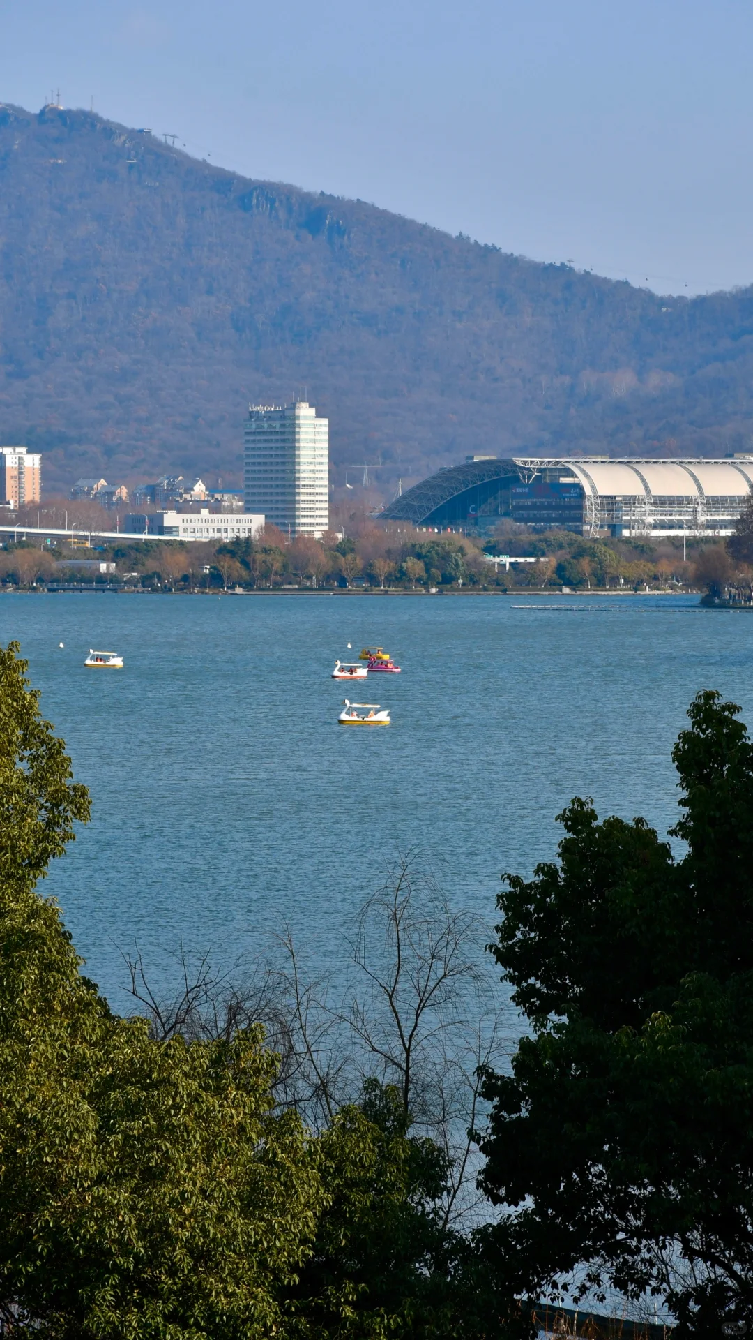 就是金陵城🏮
