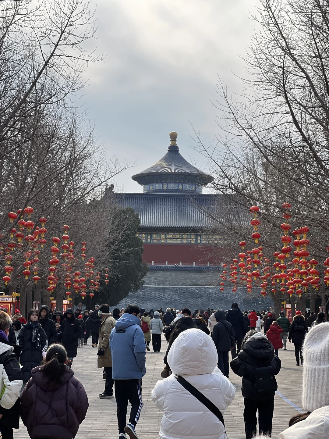大年初二，天坛拍到了人生照片！