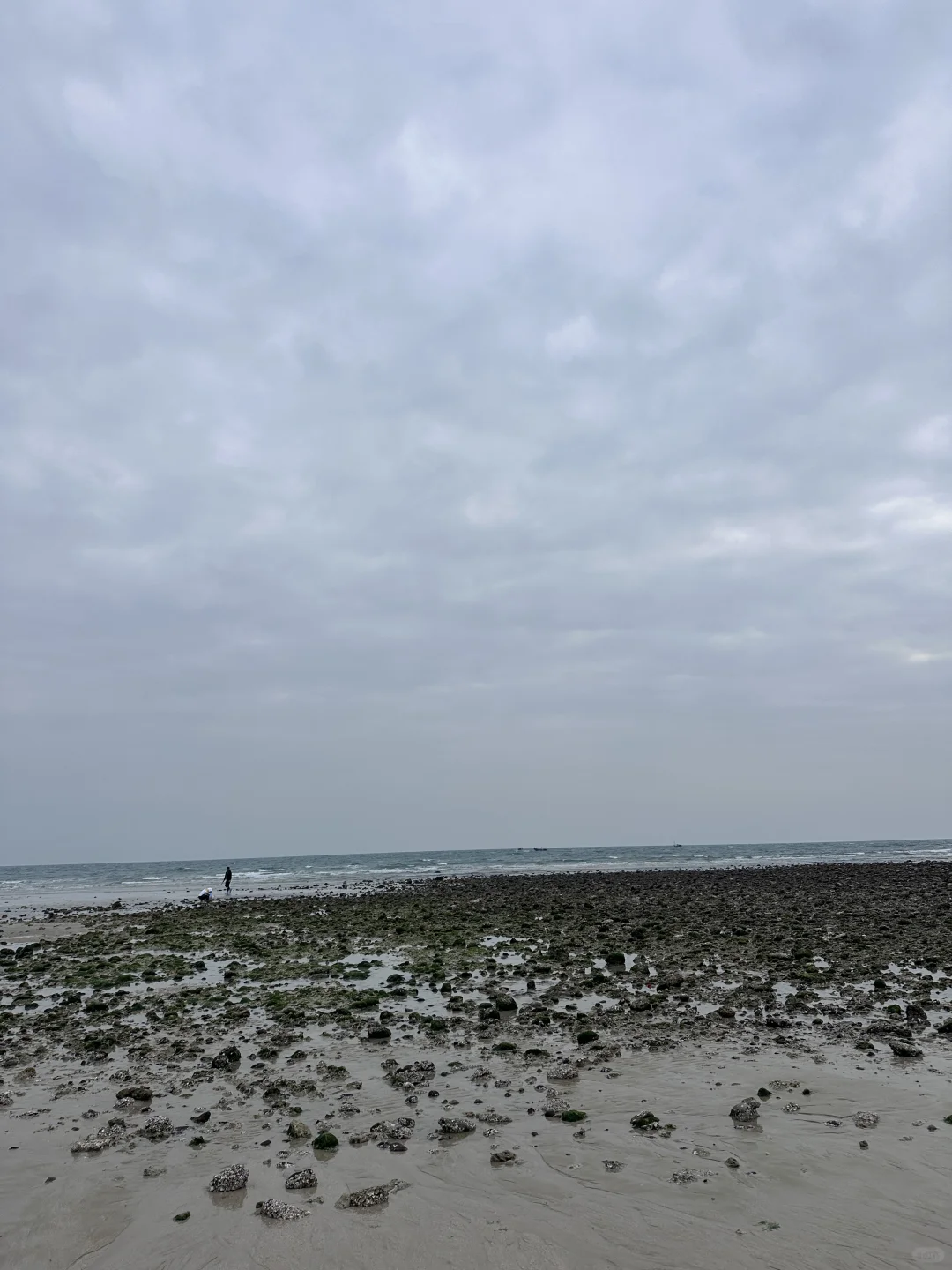 北海小记