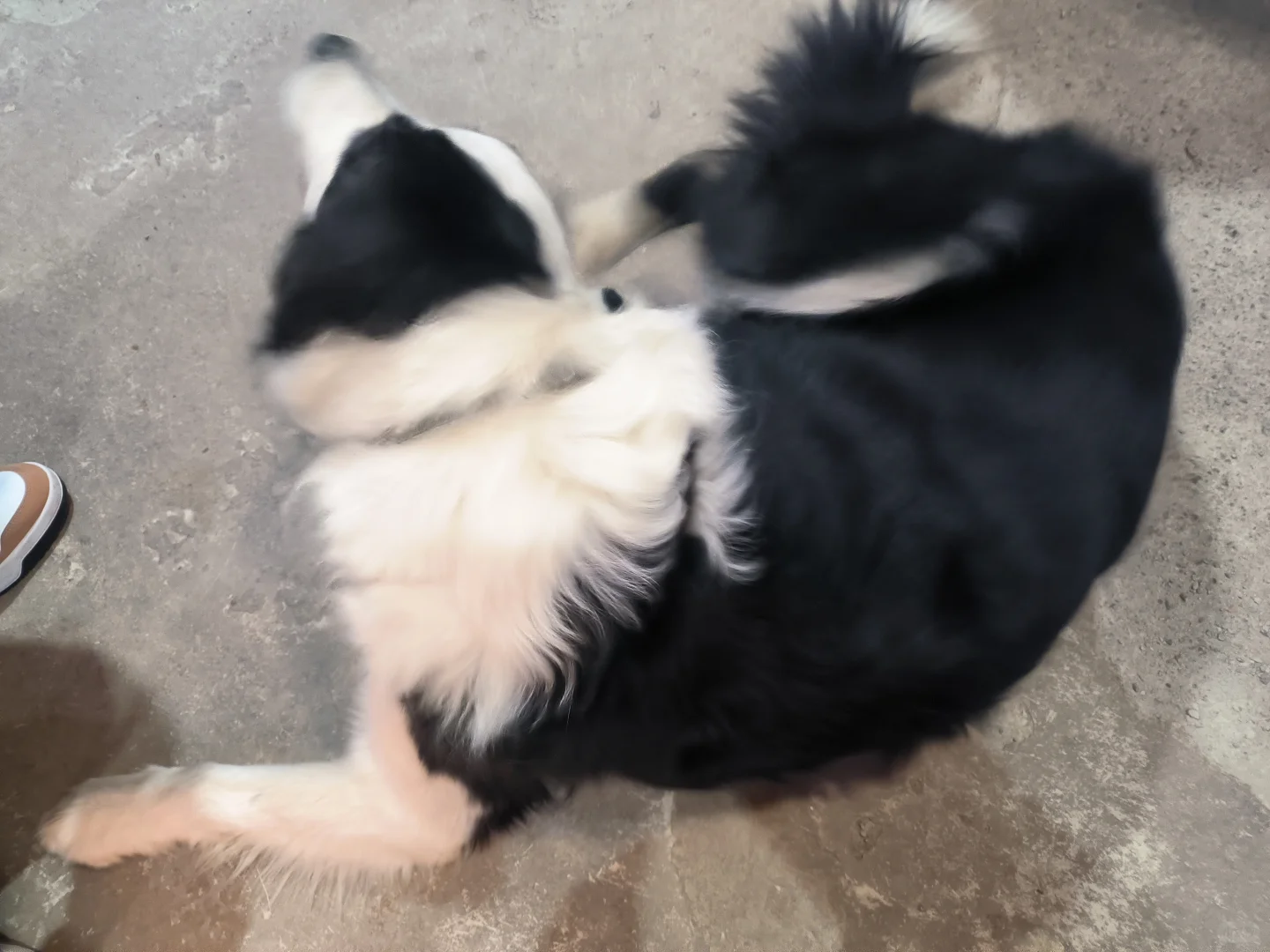 山午的记忆