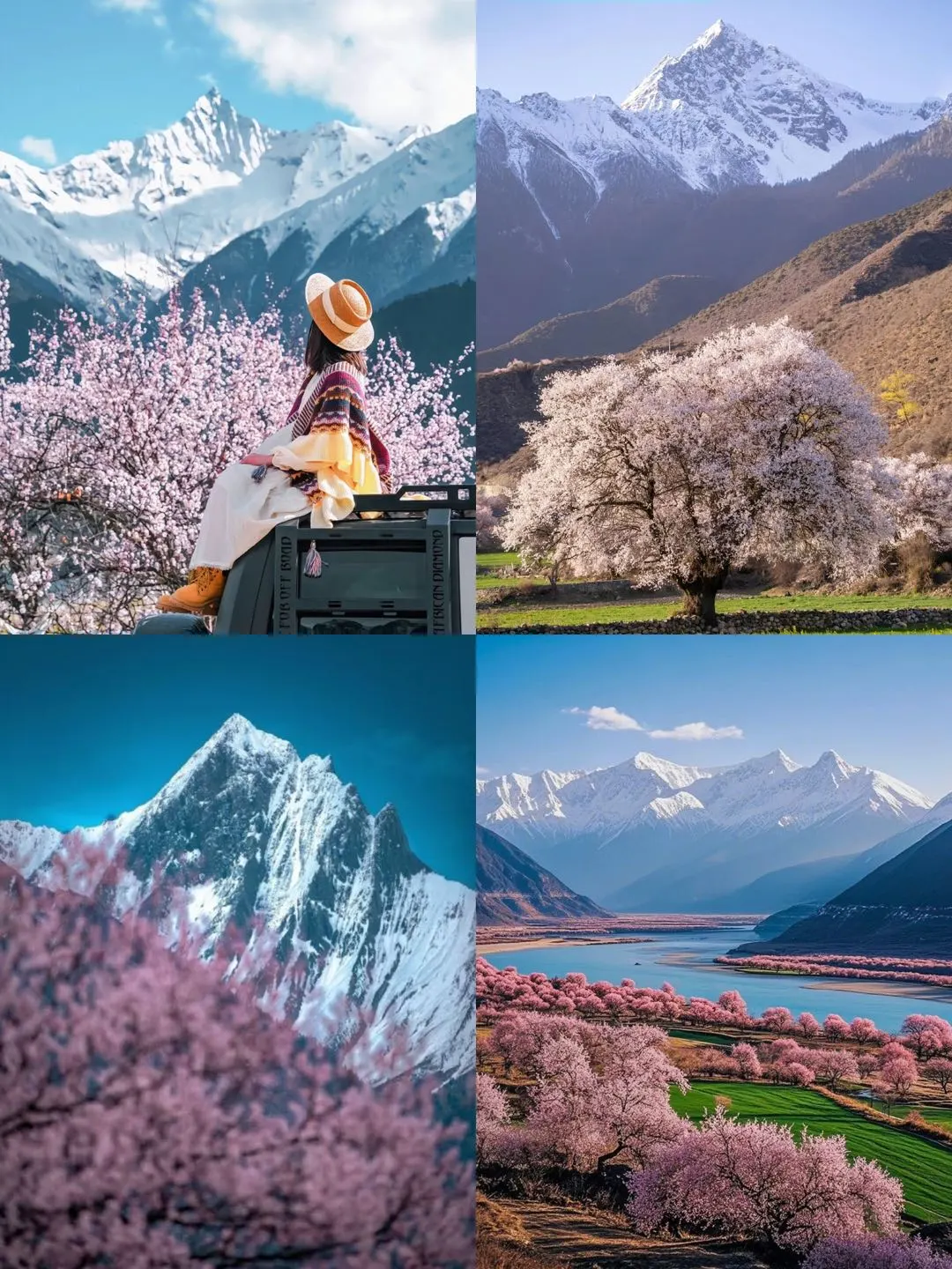 西藏林芝超详细旅游攻略✅去看桃花盛开