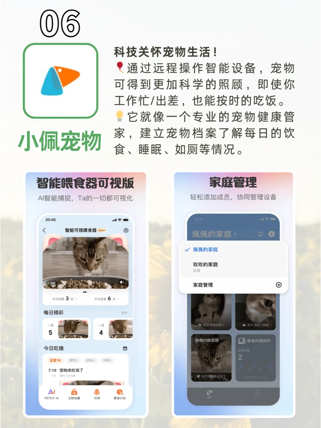 旅行 + 生活必备的6款app✨P人狂喜