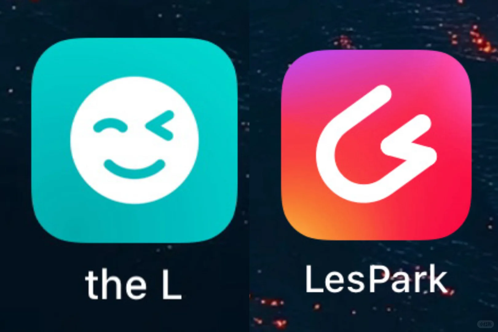Le交友初体验