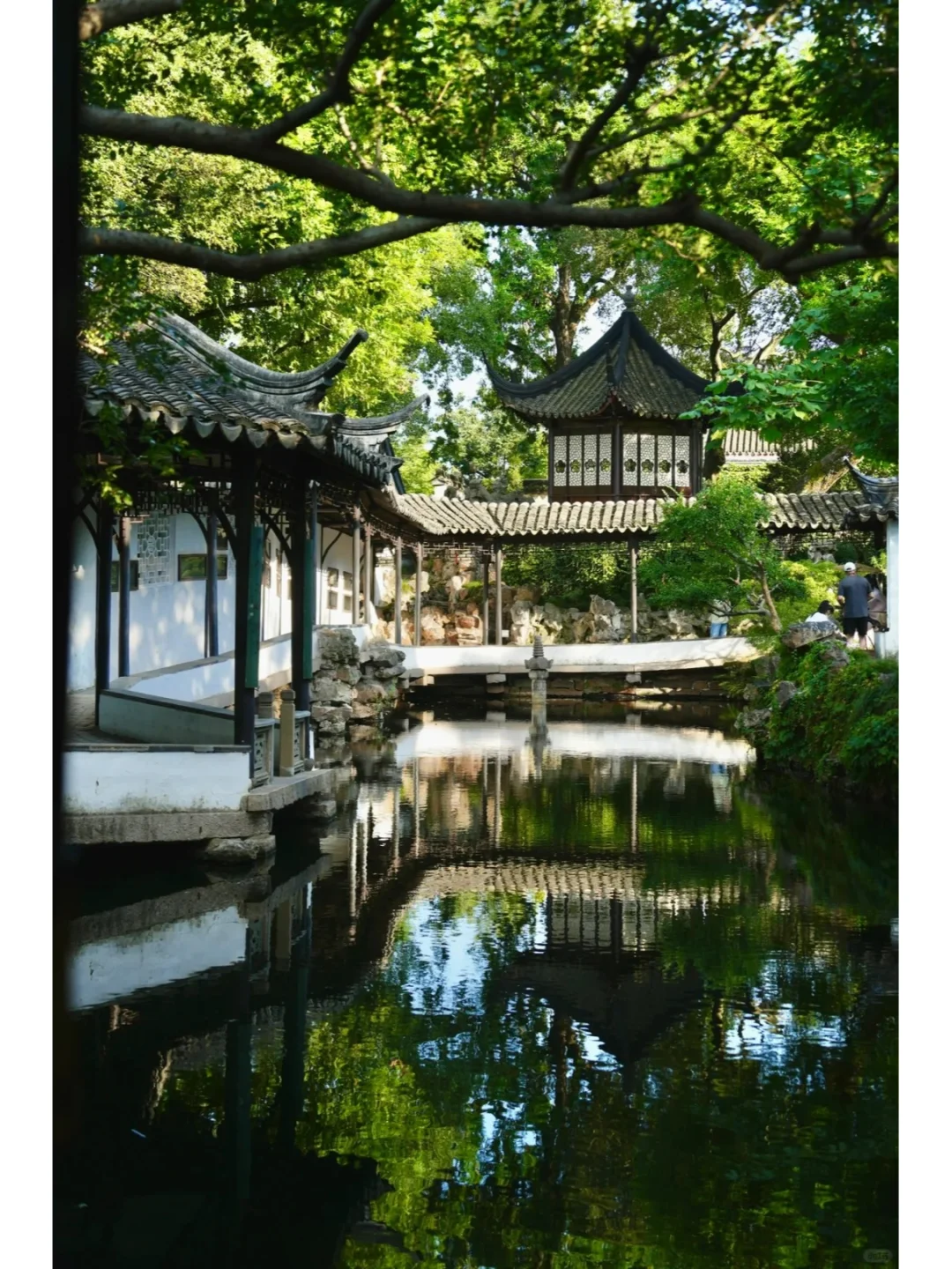 🌸2024春日旅行数据：这6个城市最火!🌸