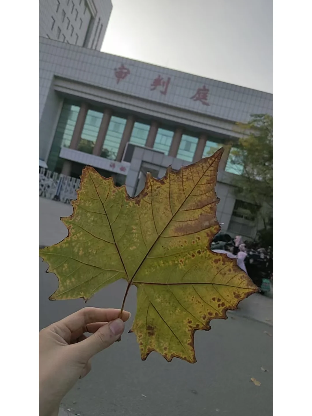 各个软件查出G，我们都想笑着走出来