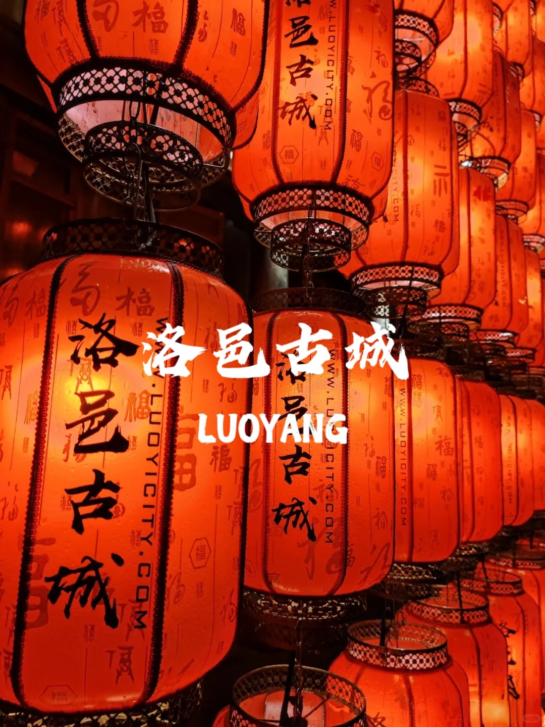 被洛阳的氛围治愈了～