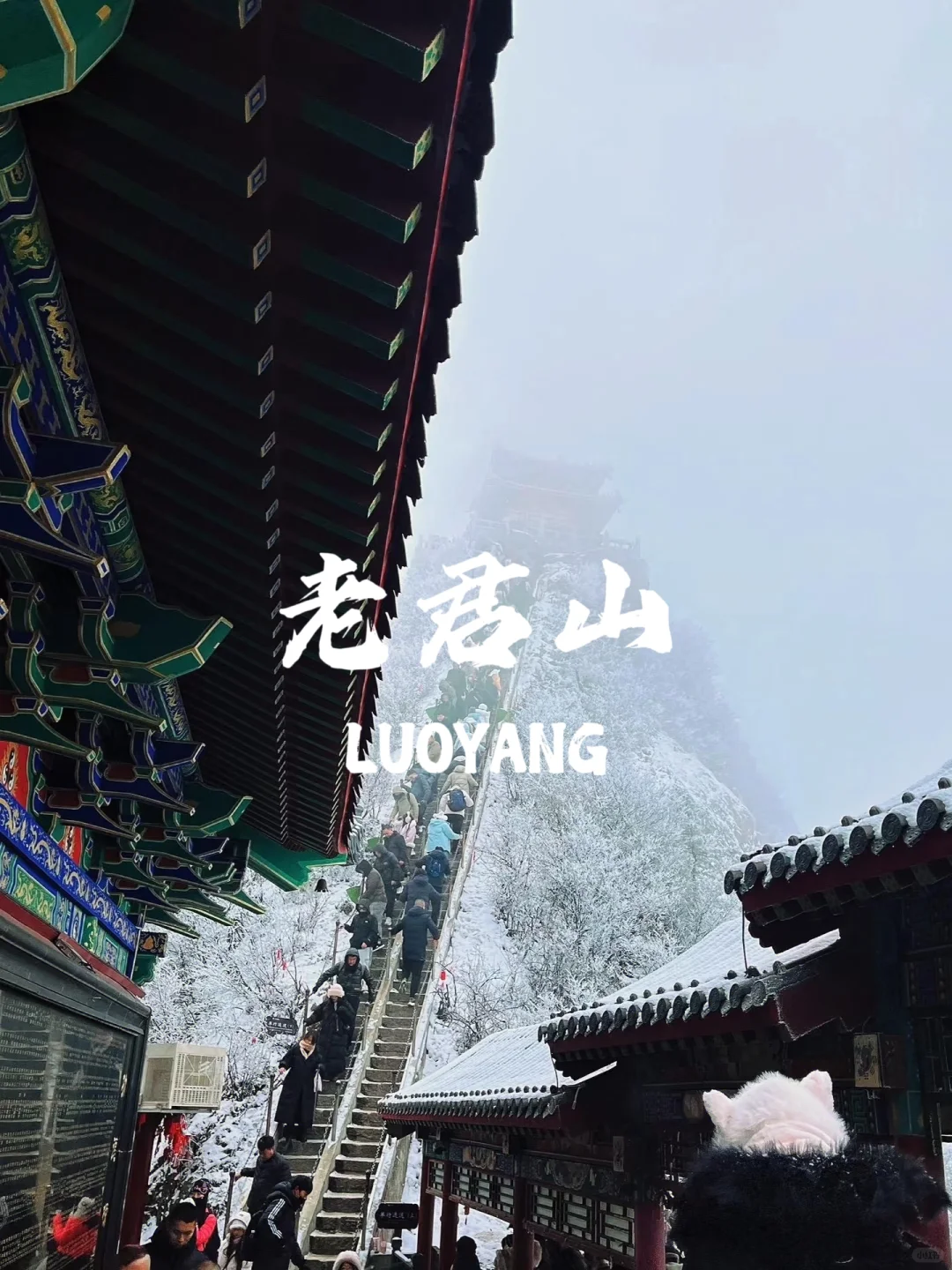被洛阳的氛围治愈了～