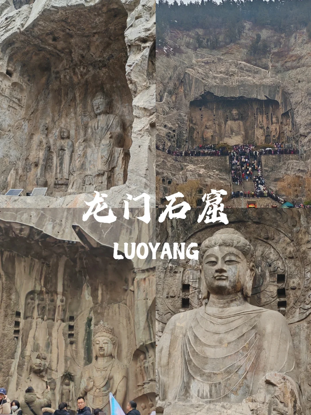 被洛阳的氛围治愈了～