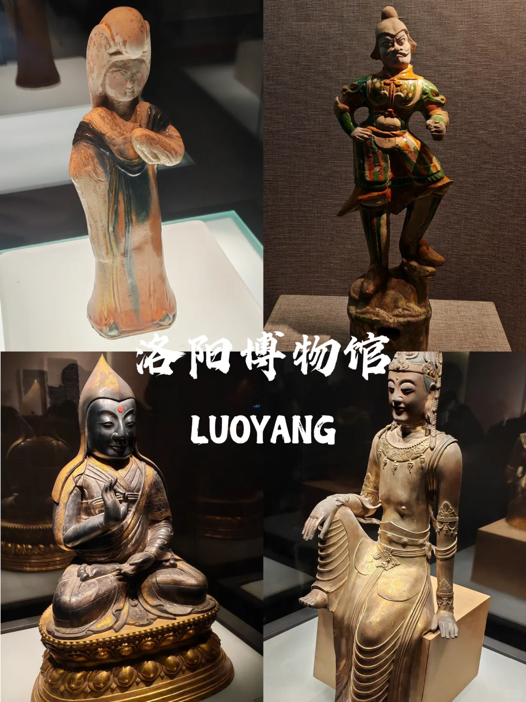 被洛阳的氛围治愈了～