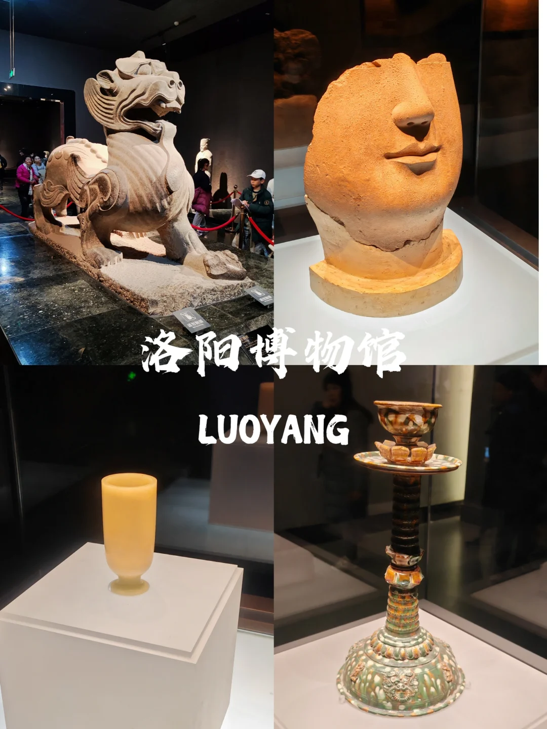 被洛阳的氛围治愈了～