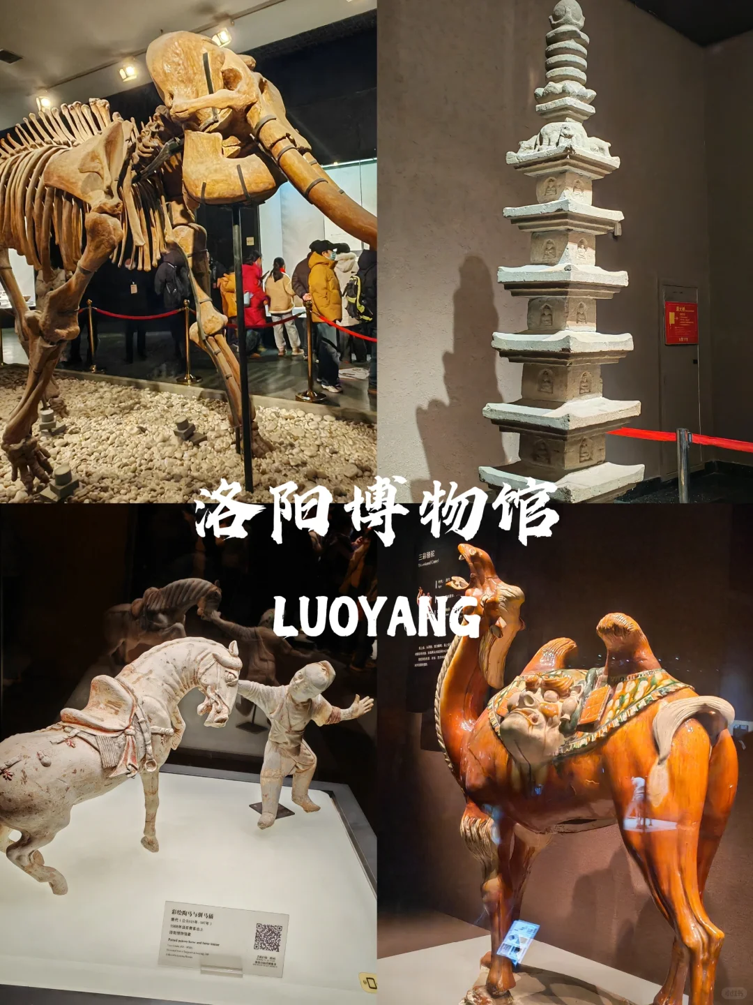 被洛阳的氛围治愈了～