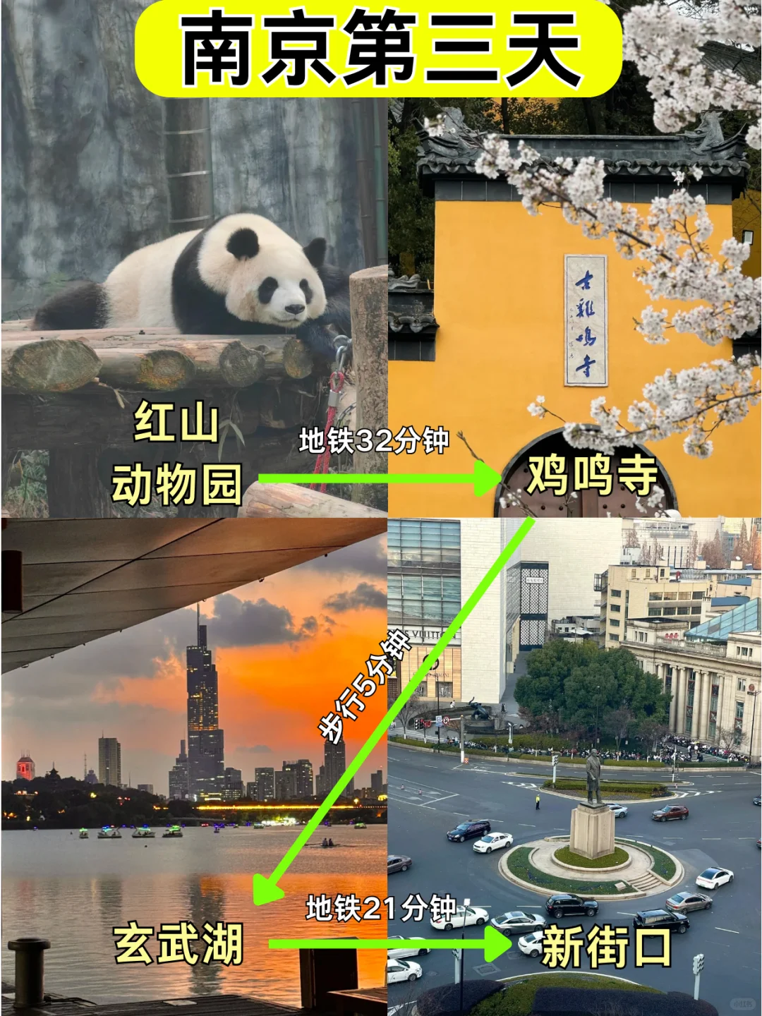 📍2.12南京已回，真被南京的天气折磨疯