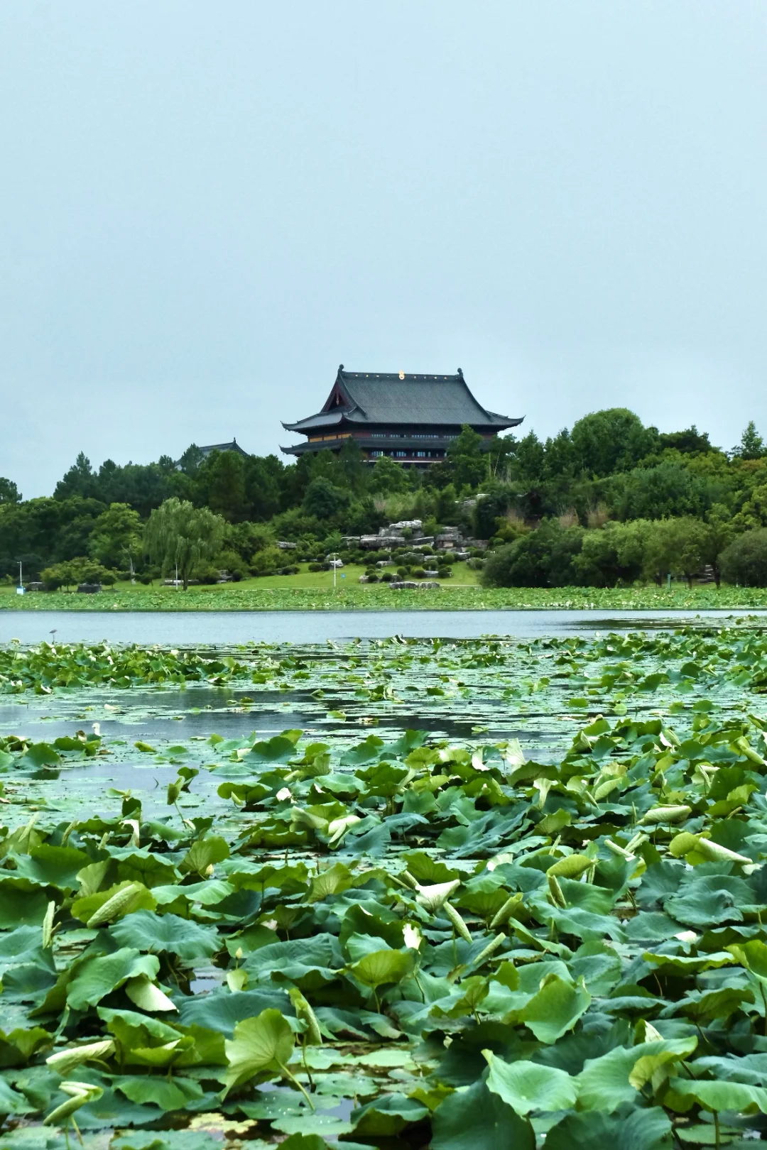苏州十大必去免费景点！（附攻略）