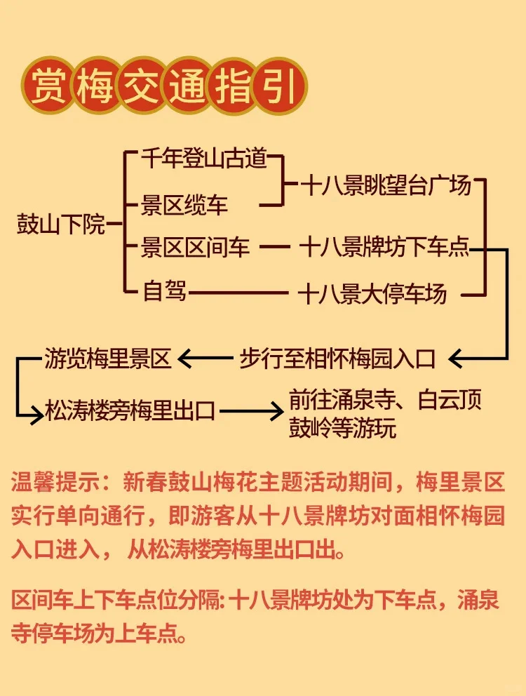 福州‼️十里梅花 🌸我刚好经过，你恰好盛开
