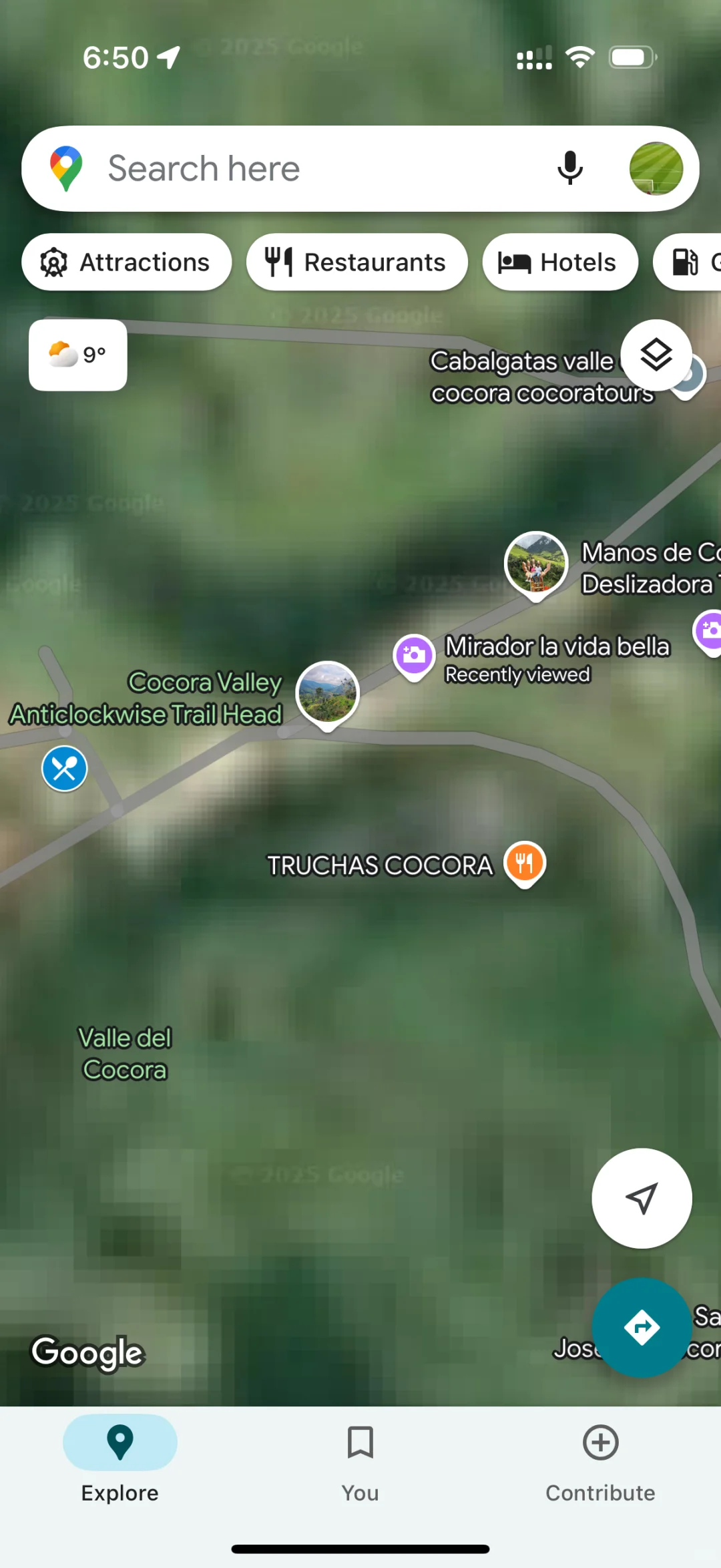 Valle de Cocora：南美的失落山谷