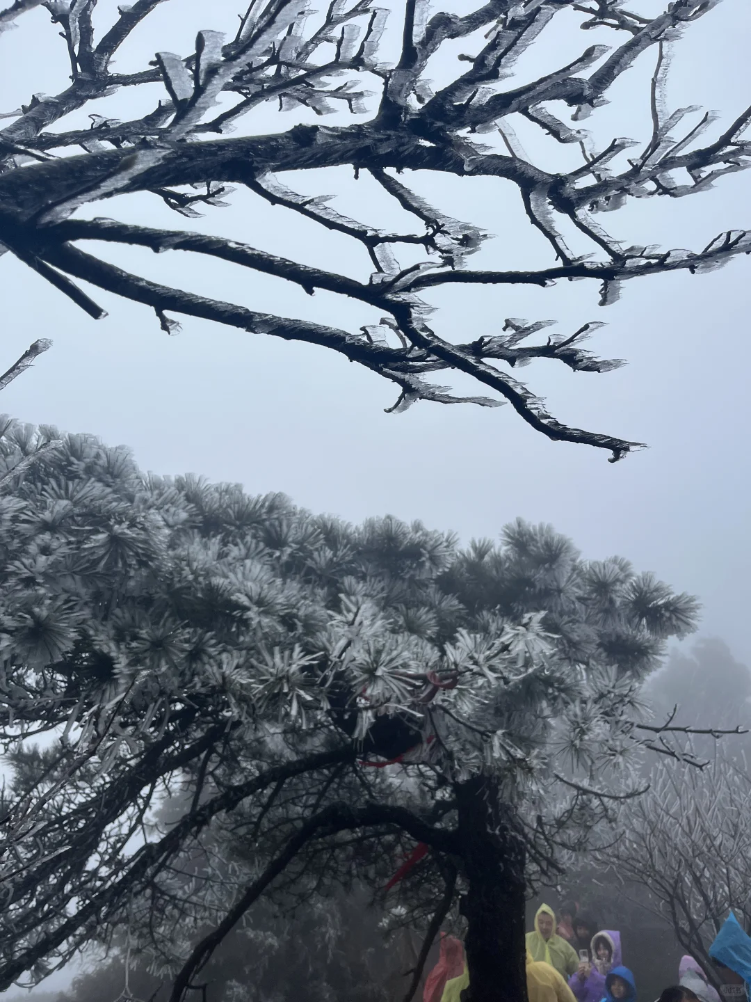 周末游好去处 打卡景点不踩雷