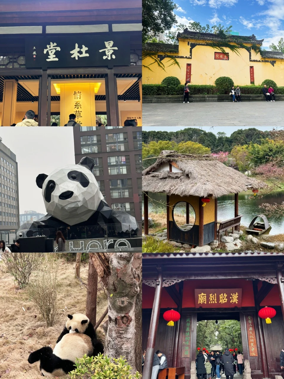 成都2月景点信息榜📍建议去🆚不建议去🙋‍