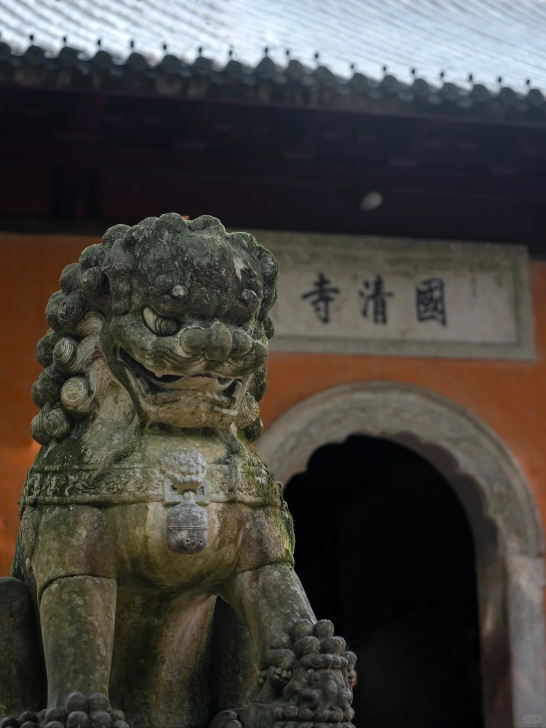 2.18实拍❗️国清寺的隋梅已经开啦