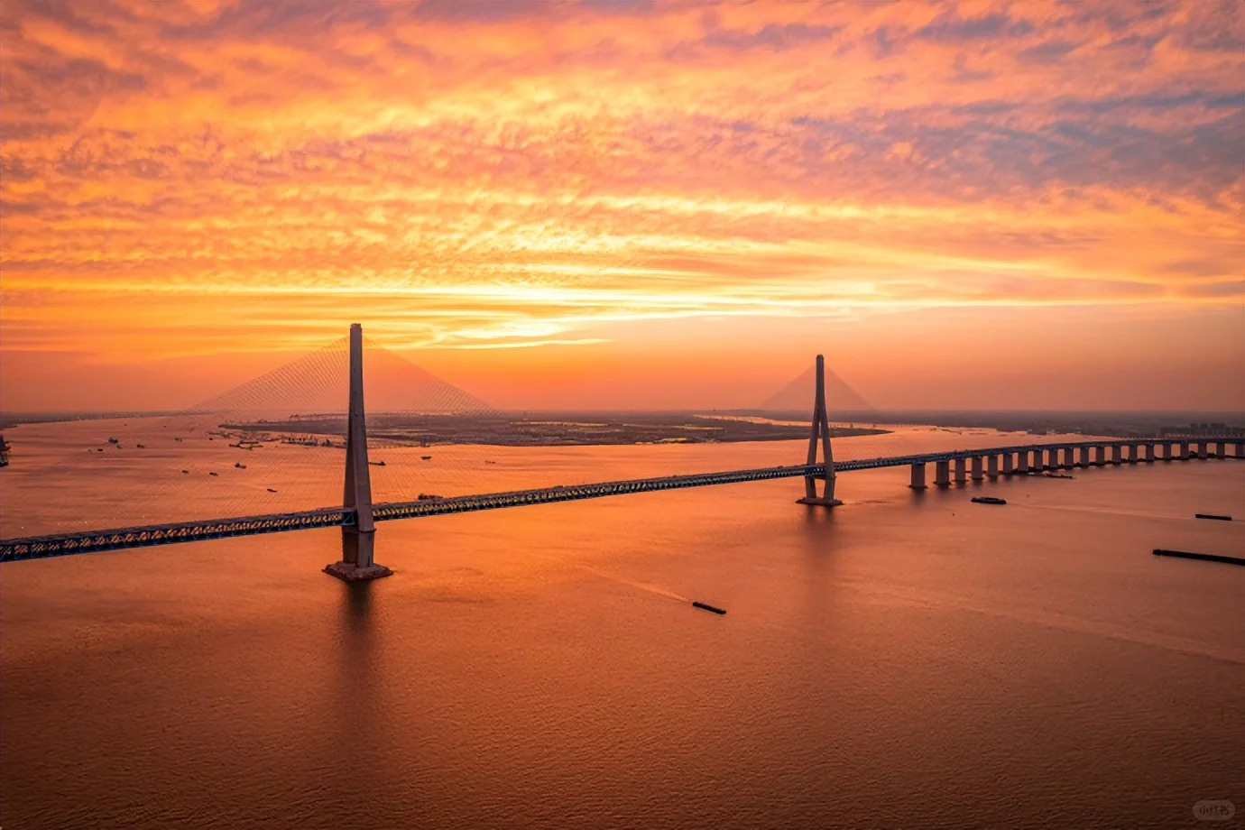 张家三兄弟，你能分清哪个是哪个吗？