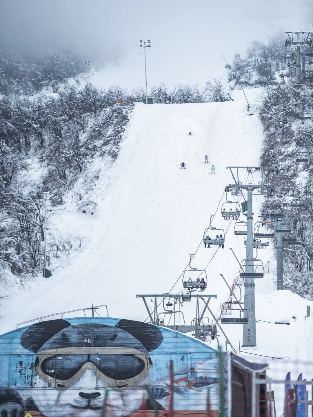淡季的西岭雪山真的是人间理想！最全攻略