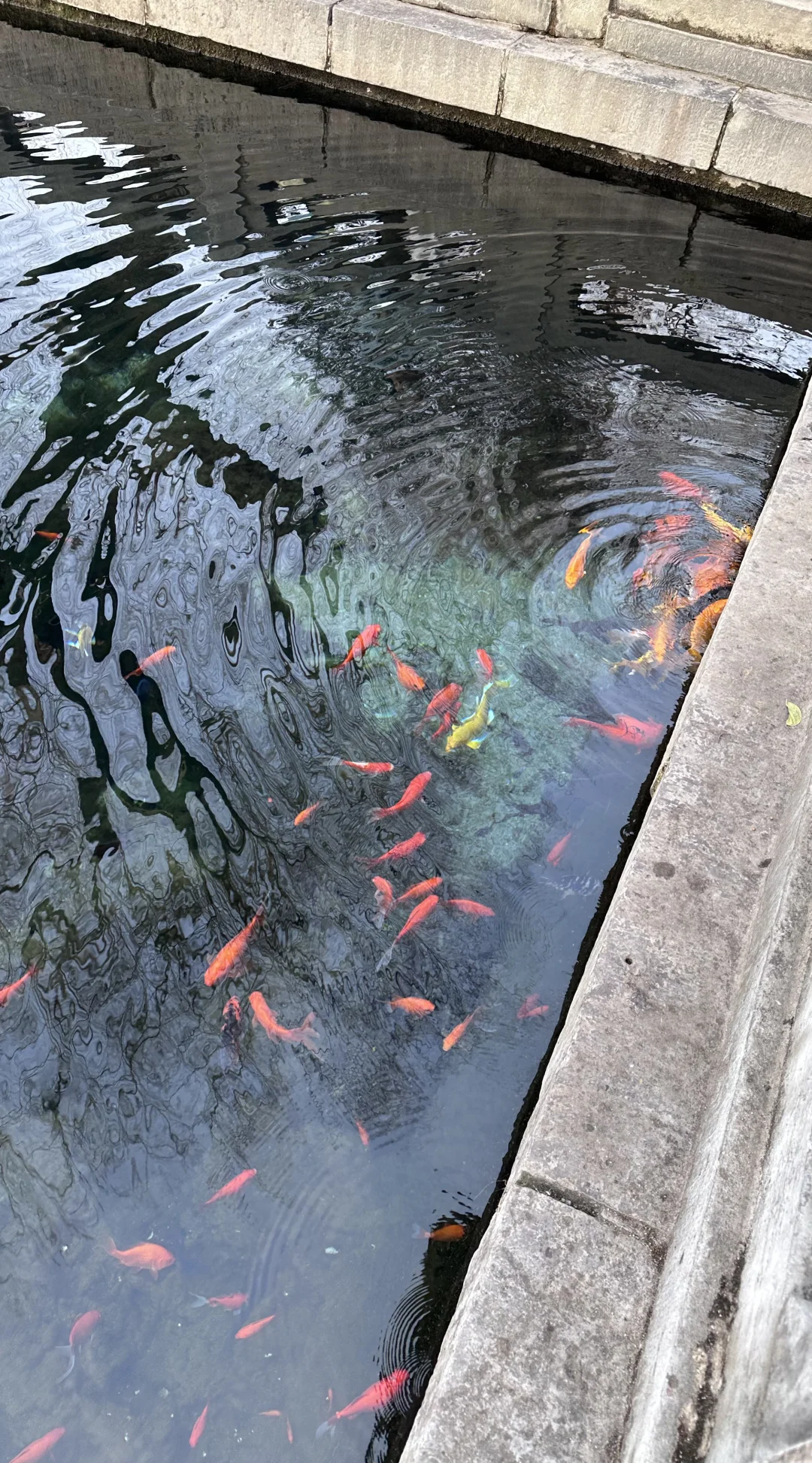 济南太美啦～