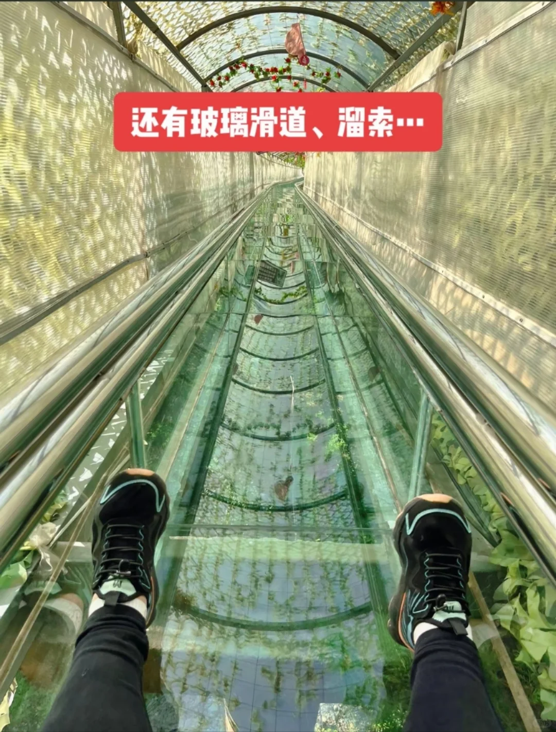 邯郸到济南石崮寨一日游，邯郸周边一日游
