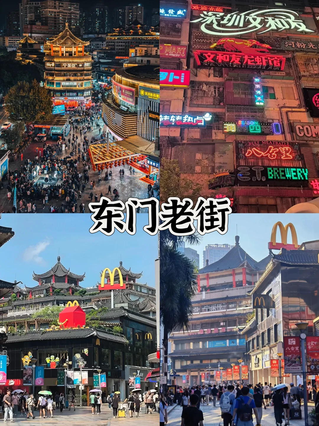 深圳地铁直达的9个免费景点全攻略(2)🔥